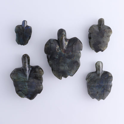 Labradorite Turtles Set of 5