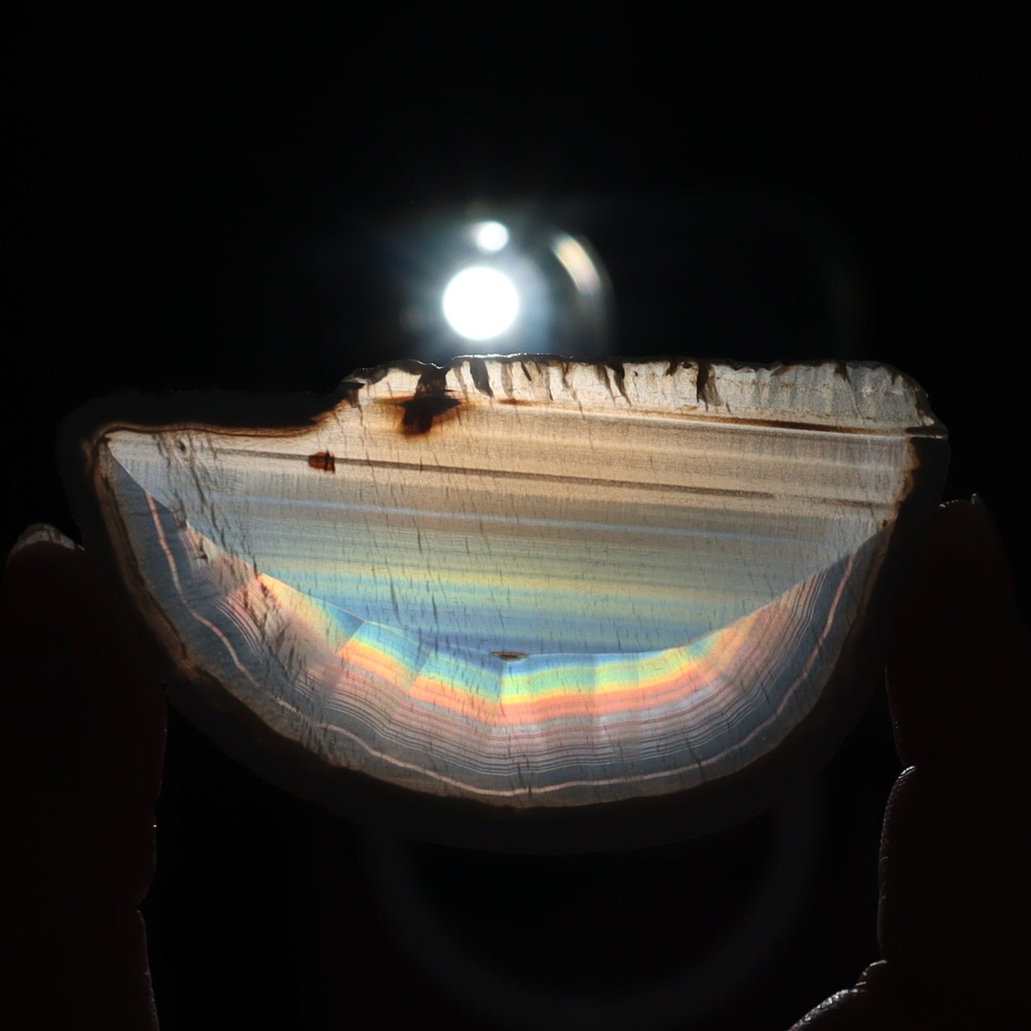 Iris Agate Slices Set of 9 - Expert Wholesale and Supplier of Wholesale Crystals & Bulk Gemstones, ["Agate","Iris Agate","Slices and Slabs"]