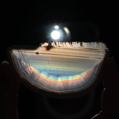 Iris Agate Slices Set of 9 - Expert Wholesale and Supplier of Wholesale Crystals & Bulk Gemstones, ["Agate","Iris Agate","Slices and Slabs"]