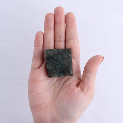 Labradorite Freeform Set of 16