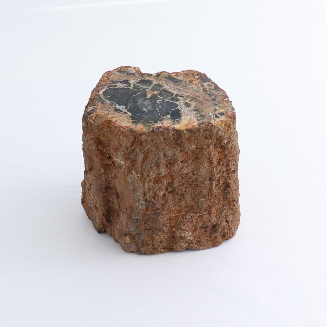 Petrified Wood Cut Base