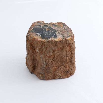Petrified Wood Cut Base
