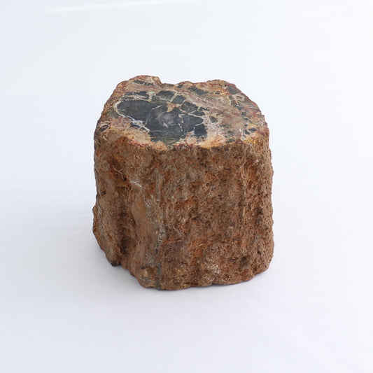 Petrified Wood Cut Base