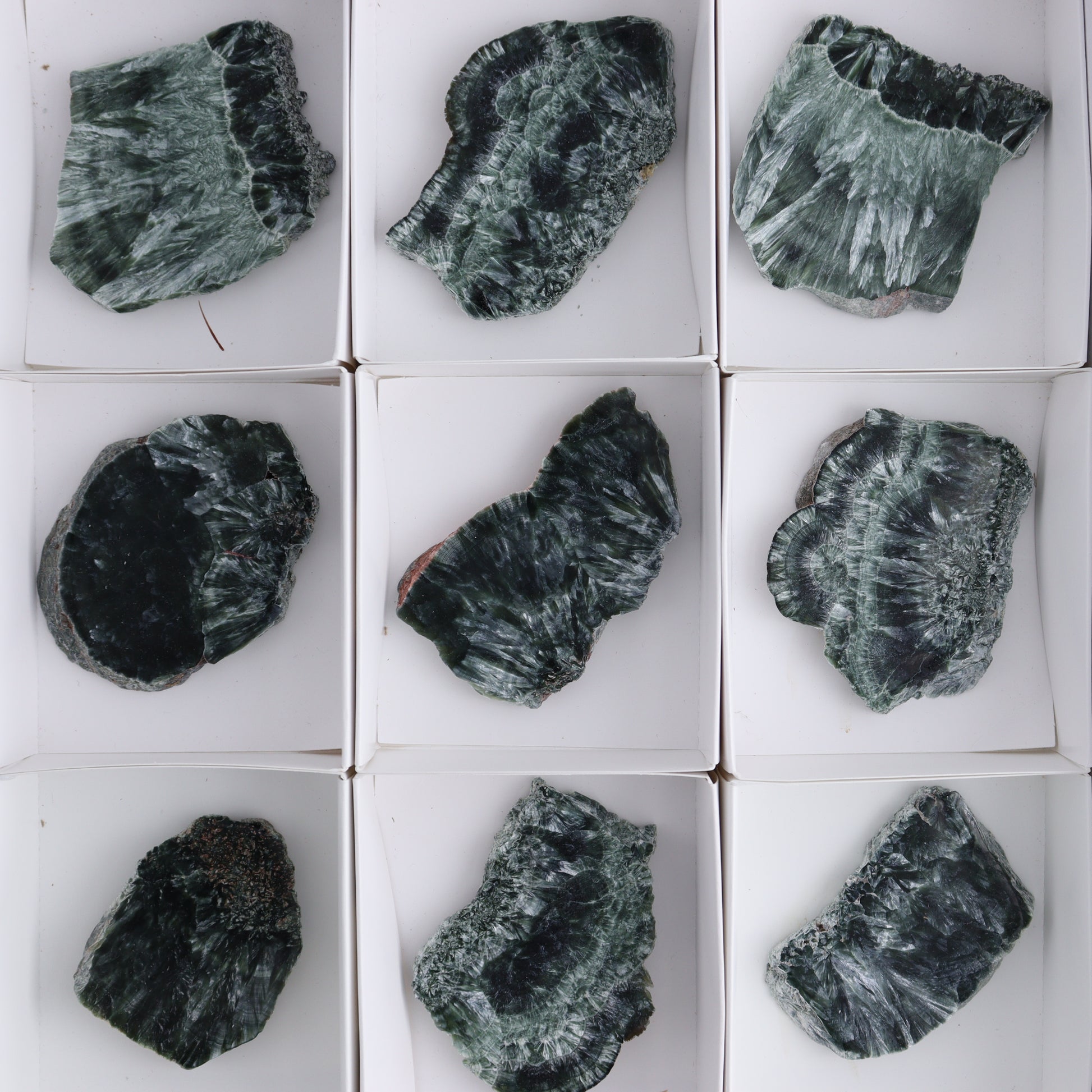 Seraphinite Slices Set of 12 - Expert Wholesale and Supplier of Wholesale Crystals & Bulk Gemstones, ["Russia","Seraphinite","Slices and Slabs"]