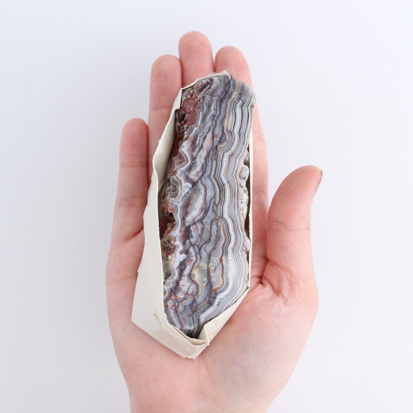 Crazy Lace Agate Flat of 11