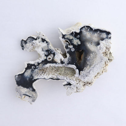 Agatized Coral Set of 5
