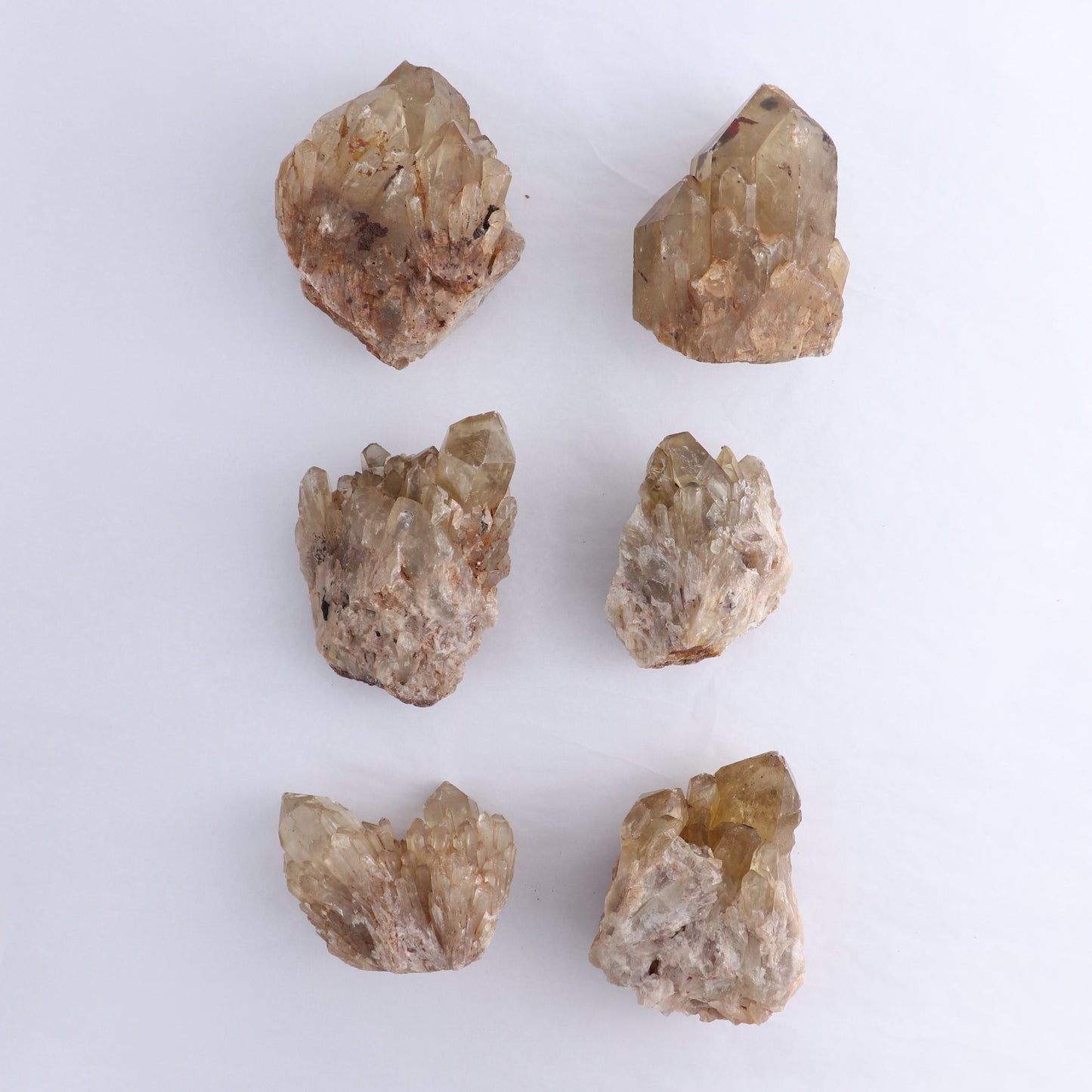Congo Citrine Set of 6