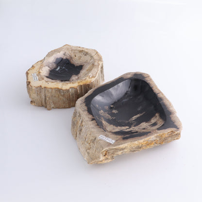 Petrified Wood Bowls Set of 2 - Expert Wholesale and Supplier of Wholesale Crystals & Bulk Gemstones, ["Bowls","Indonesia","Petrified Wood"]