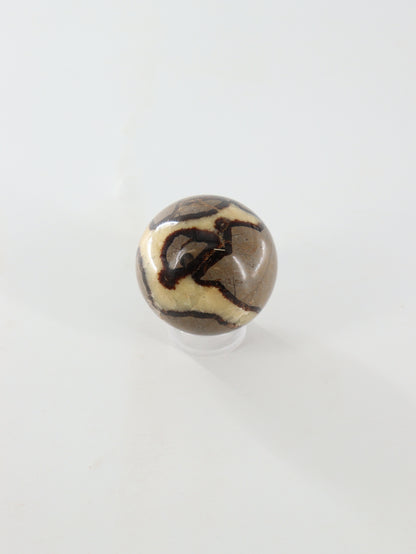 Septarian Spheres Set of 6 - Expert Supplier of Wholesale Crystals & Bulk Gemstones