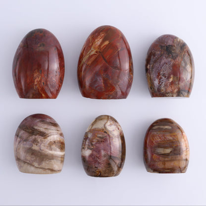 Petrified Wood Freeforms Set of 6 - Expert Wholesale and Supplier of Wholesale Crystals & Bulk Gemstones, ["Freeform","Freeforms","Madagascar","Petrified Wood"]