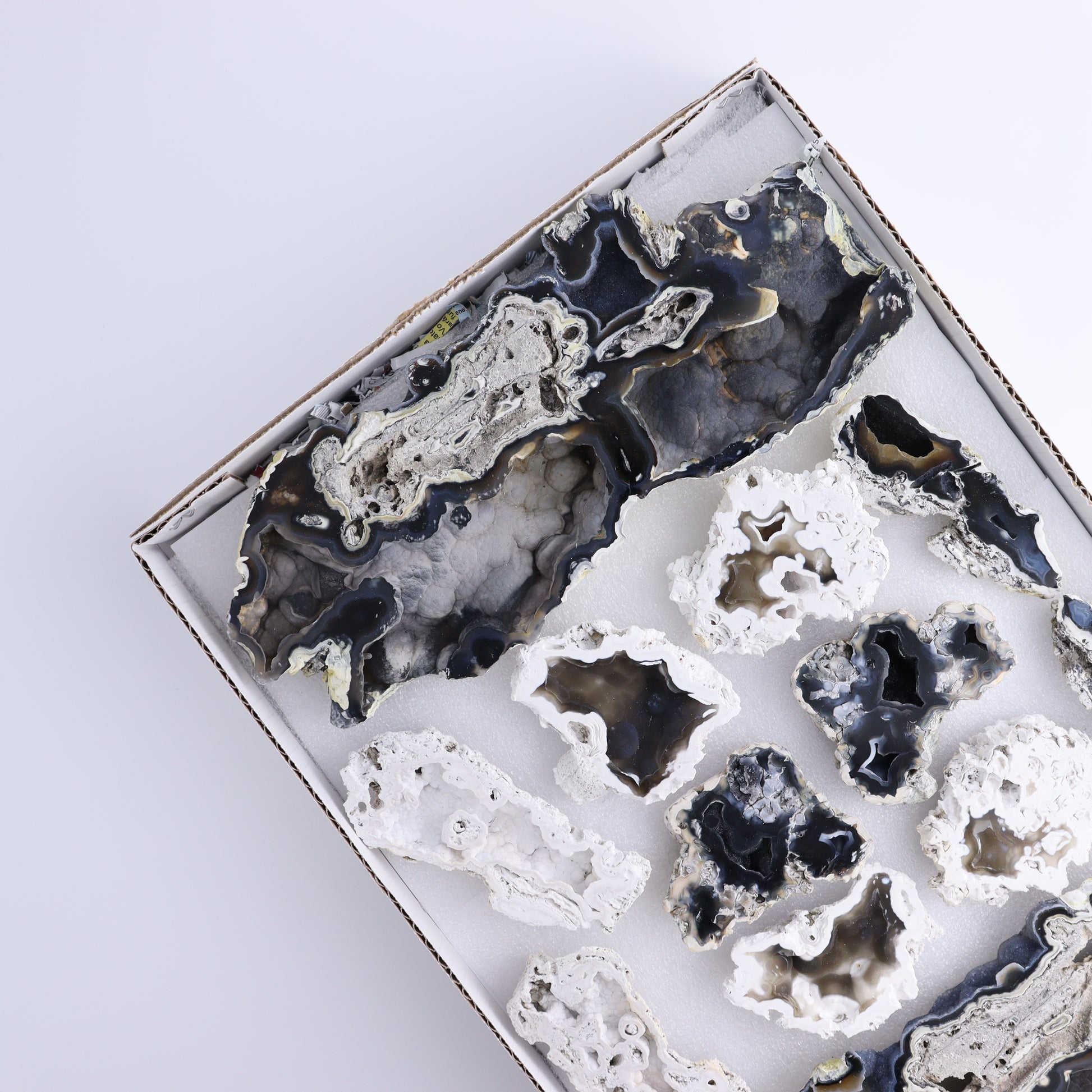 Agatized Coral Flat - Expert Wholesale and Supplier of Wholesale Crystals & Bulk Gemstones, ["Agate","Agatized Coral","Coral","United States"]