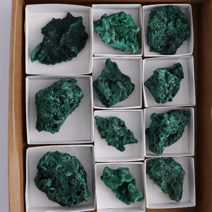 Malachite Freeforms Set of 11 - Expert Wholesale and Supplier of Wholesale Crystals & Bulk Gemstones, ["Freeform","Malachite","South Africa"]