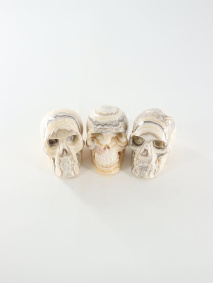 Onyx Skulls Set of 3 - Expert Wholesale and Supplier of Wholesale Crystals & Bulk Gemstones, []
