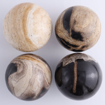 Petrified Wood Spheres Set of 4 - Expert Wholesale and Supplier of Wholesale Crystals & Bulk Gemstones, ["Indonesia","Petrified Wood","Spheres"]