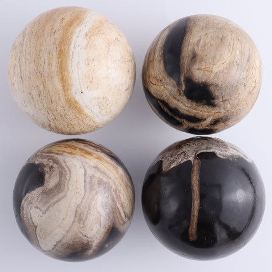 Petrified Wood Spheres Set of 4 - Expert Wholesale and Supplier of Wholesale Crystals & Bulk Gemstones, ["Indonesia","Petrified Wood","Spheres"]