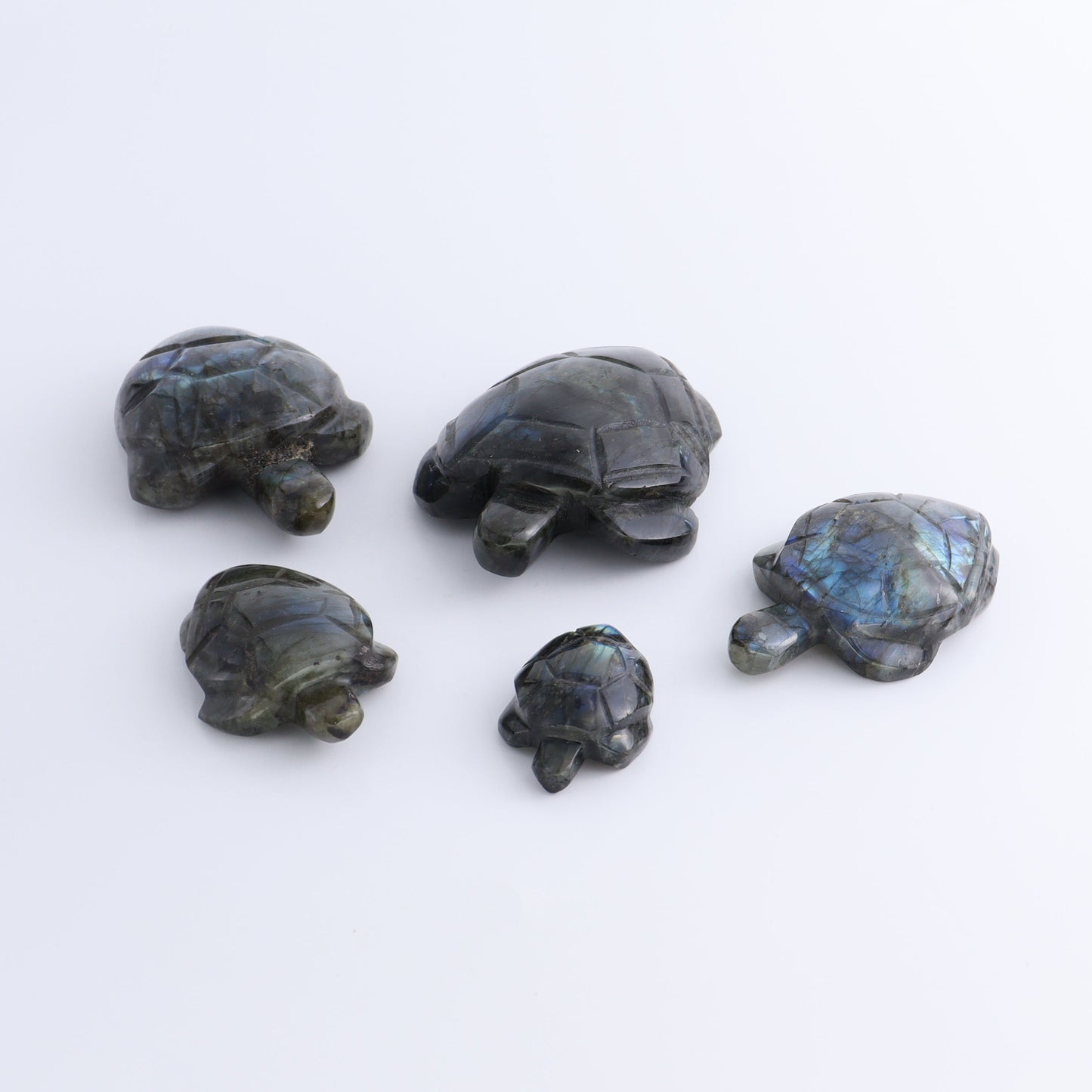 Labradorite Turtles Set of 5
