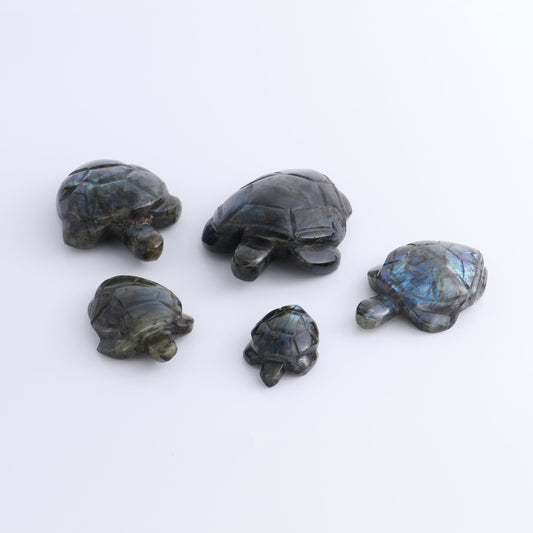 Labradorite Turtles Set of 5