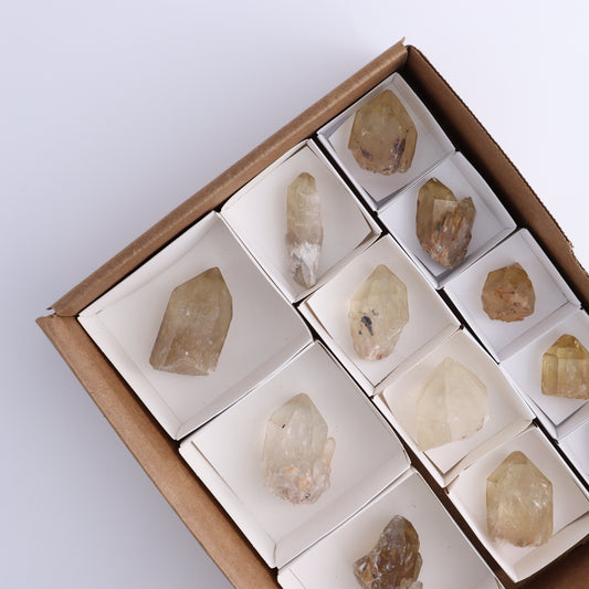 Congo Citrine Set of 12