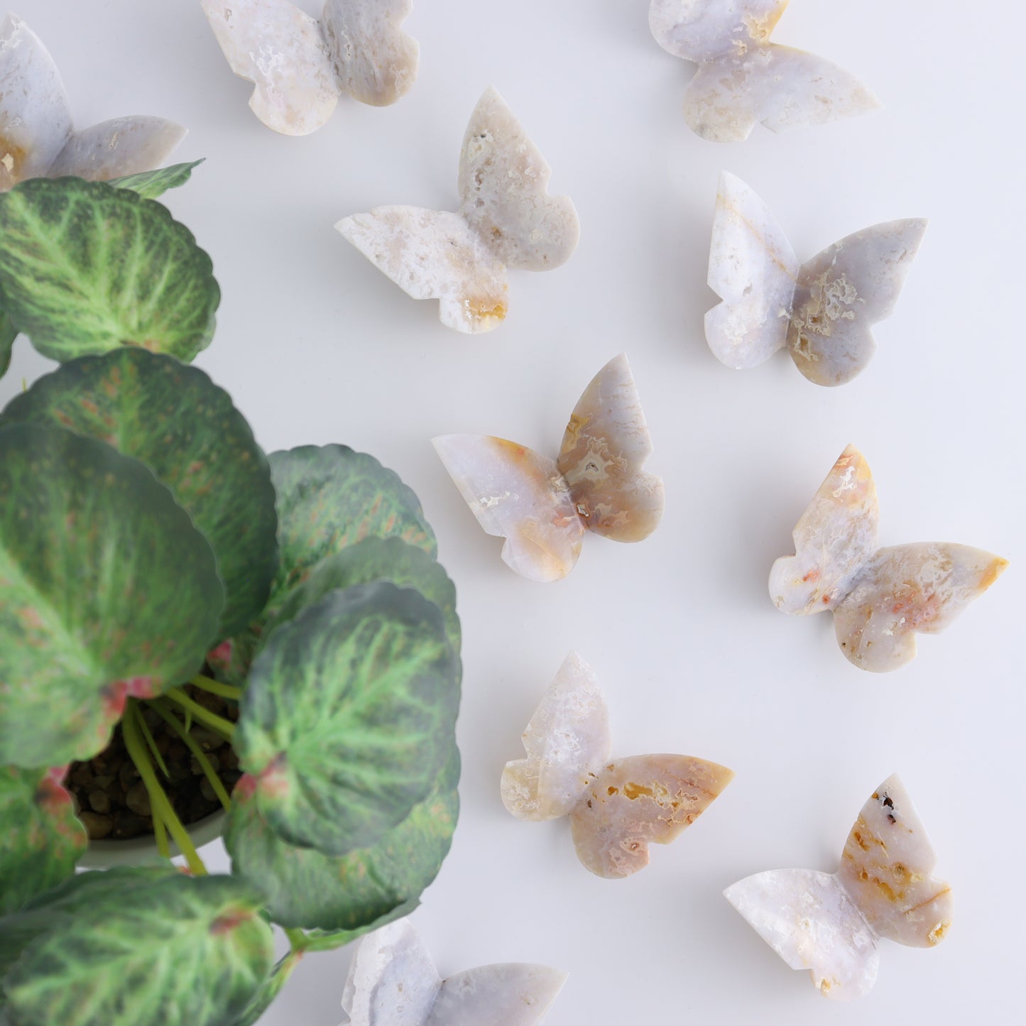 One White Fire Chalcedony Butterfly - Expert Wholesale and Supplier of Wholesale Crystals & Bulk Gemstones, ["Agate","Butterflies","Butterfly","White Fire Agate"]