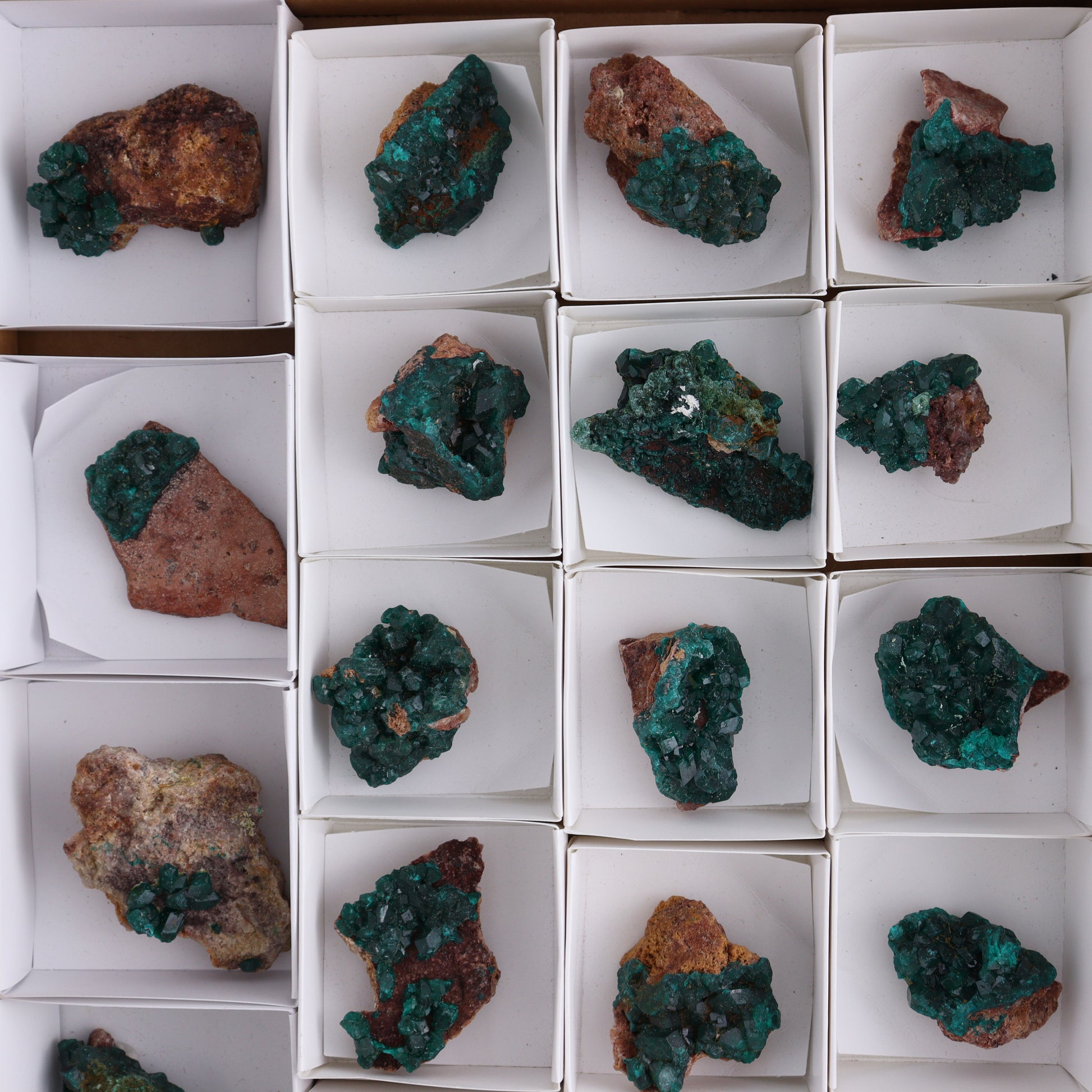 Dioptase Set of 19 - Expert Wholesale and Supplier of Wholesale Crystals & Bulk Gemstones, ["dioptase","Freeform","Freeforms"]