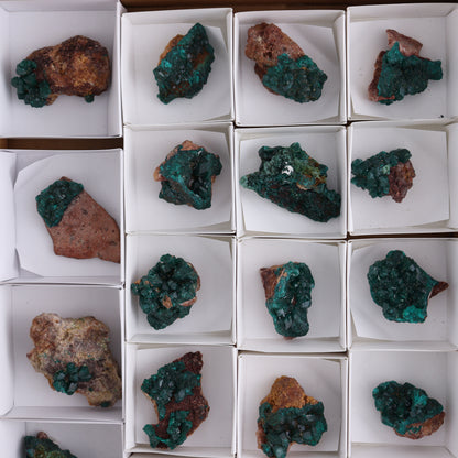 Dioptase Set of 19 - Expert Wholesale and Supplier of Wholesale Crystals & Bulk Gemstones, ["dioptase","Freeform","Freeforms"]