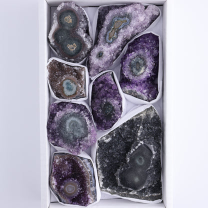 Uruguay Amethyst Clusters with "Eyes" Flat of 8 - Expert Wholesale and Supplier of Wholesale Crystals & Bulk Gemstones, []