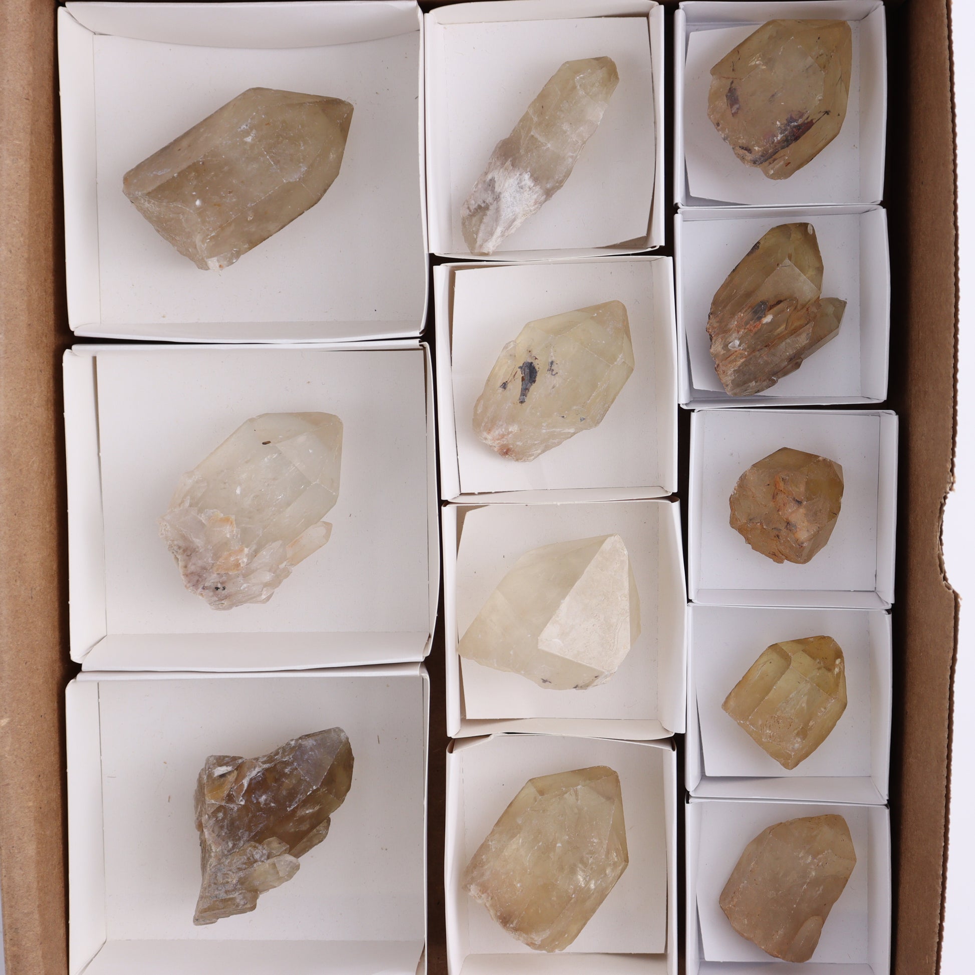 Congo Citrine Set of 12 - Expert Wholesale and Supplier of Wholesale Crystals & Bulk Gemstones, ["Citrine","Congo","Rough","Roughs"]