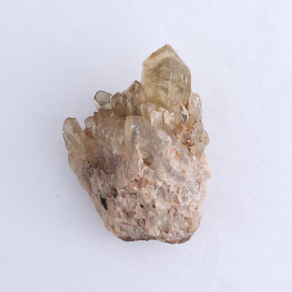 Congo Citrine Set of 6