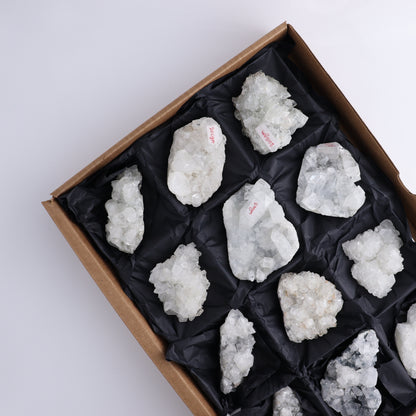 Apophyllite Clusters Flat of 12 - Expert Wholesale and Supplier of Wholesale Crystals & Bulk Gemstones, ["Apophyllite","Clusters","Flats"]
