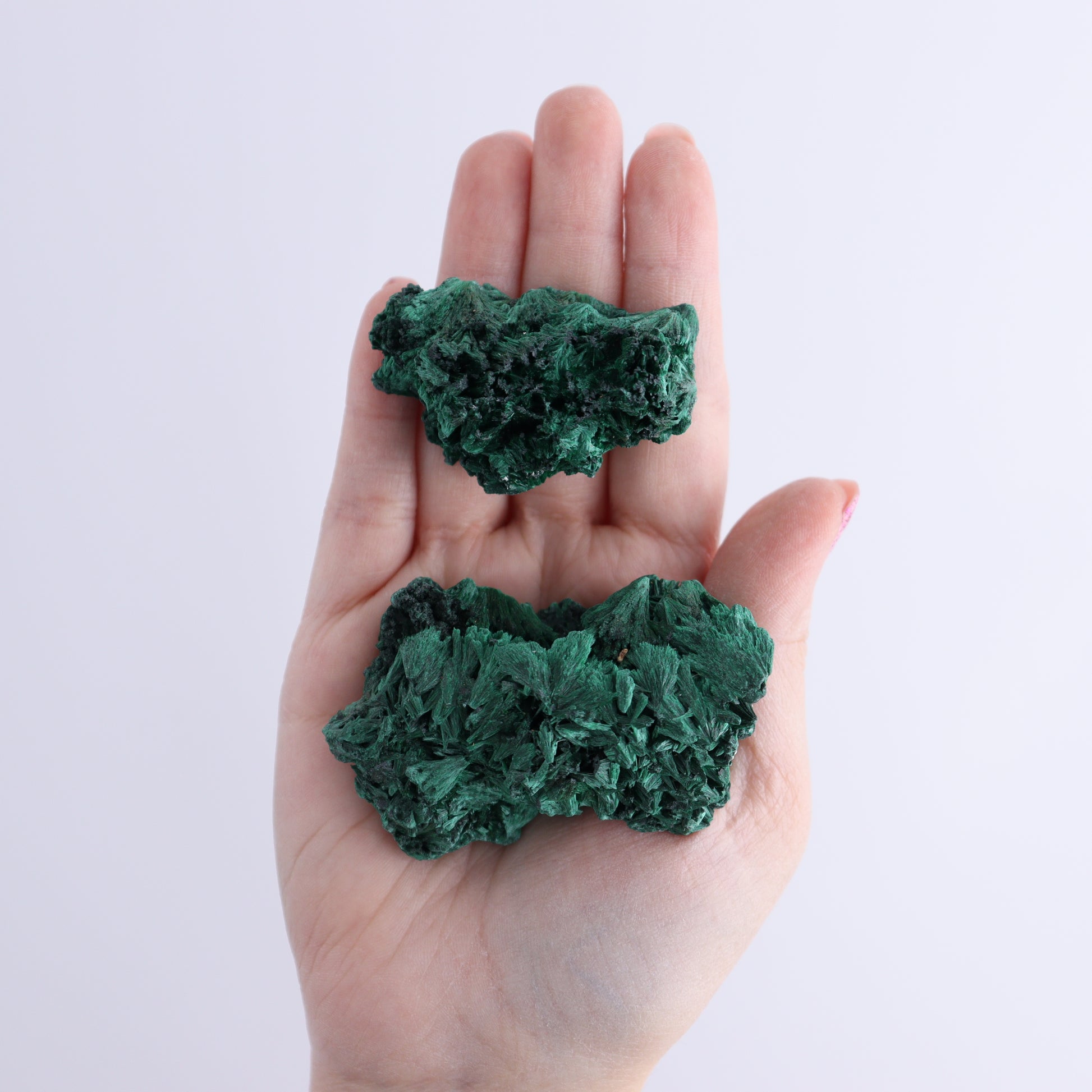 Malachite Freeforms Set of 12 - Expert Wholesale and Supplier of Wholesale Crystals & Bulk Gemstones, ["Freeform","Malachite","South Africa"]