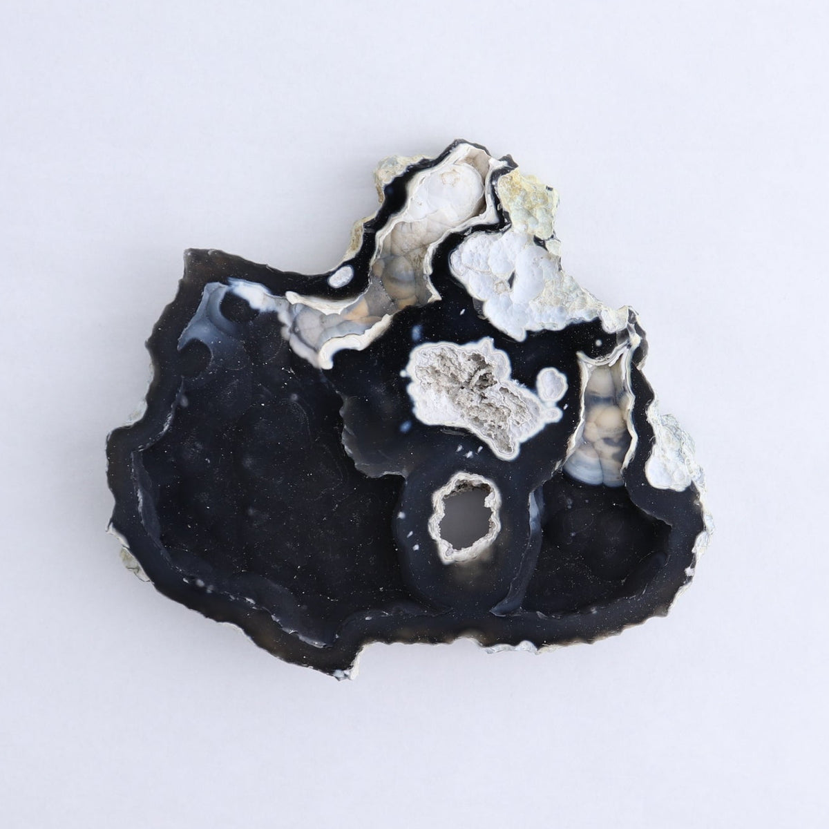 Agatized Coral Set of 5
