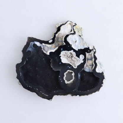 Agatized Coral Set of 5