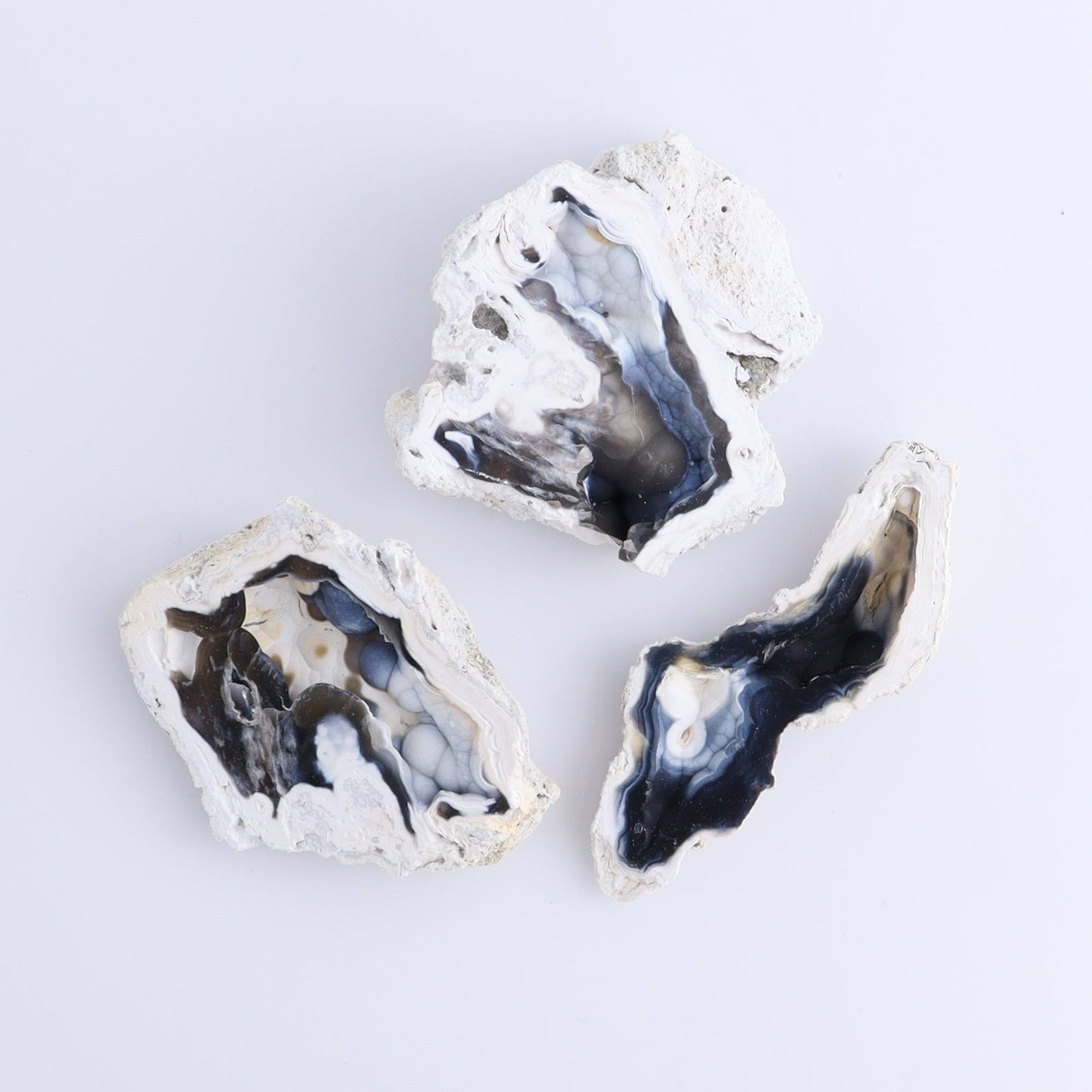 Agatized Coral Flat - Expert Wholesale and Supplier of Wholesale Crystals & Bulk Gemstones, ["Agate","Agatized Coral","Coral","United States"]