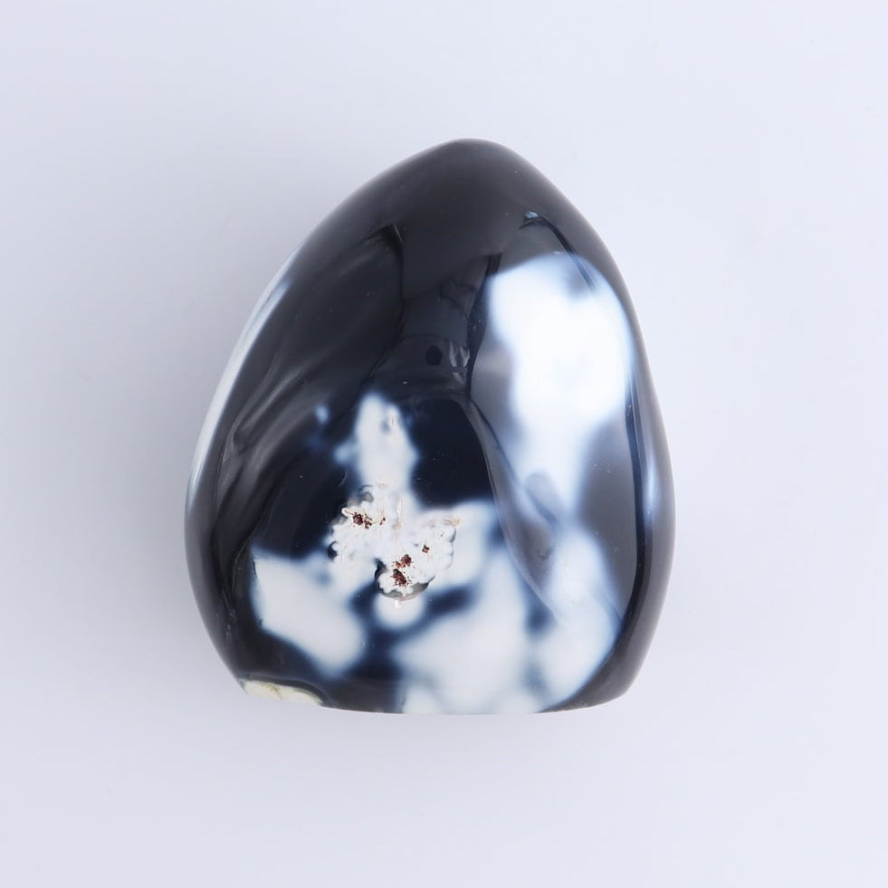 Orca Agate Freeform Set of 4