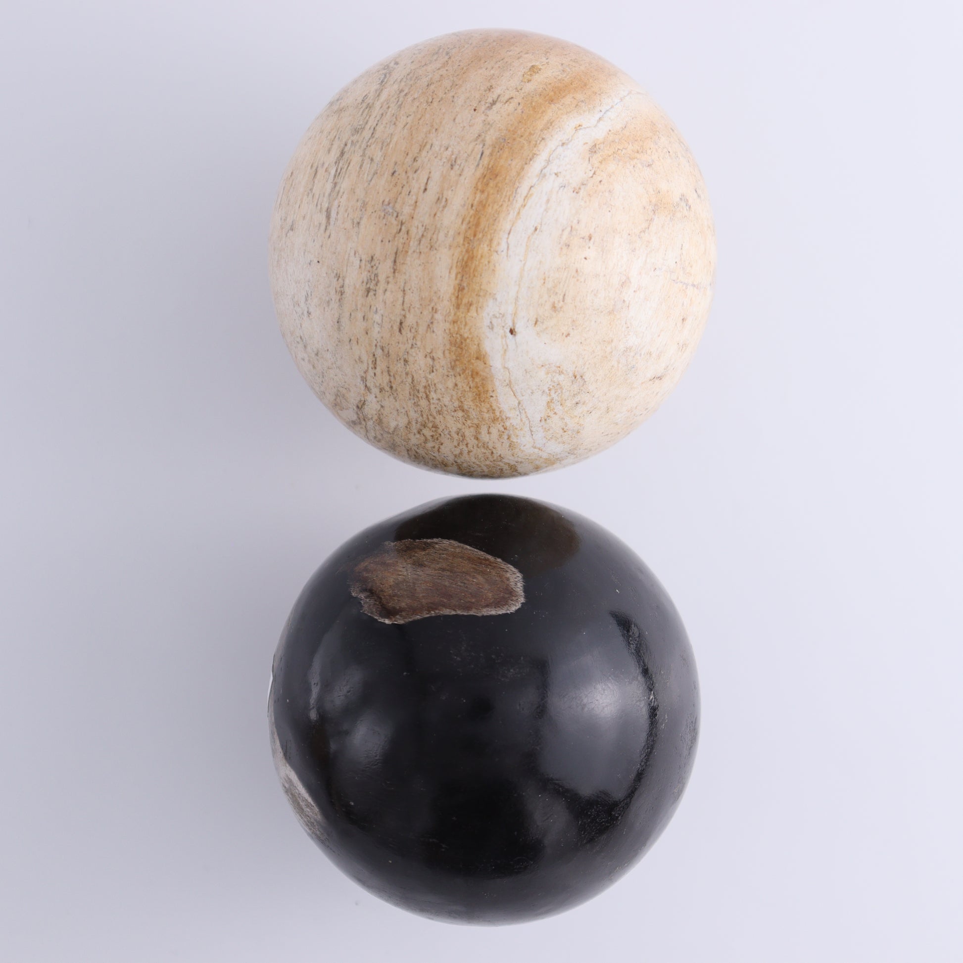 Petrified Wood Spheres Set of 4 - Expert Wholesale and Supplier of Wholesale Crystals & Bulk Gemstones, ["Indonesia","Petrified Wood","Spheres"]