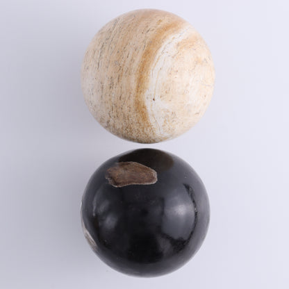 Petrified Wood Spheres Set of 4 - Expert Wholesale and Supplier of Wholesale Crystals & Bulk Gemstones, ["Indonesia","Petrified Wood","Spheres"]