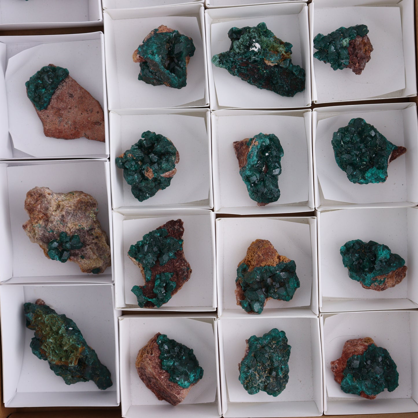 Dioptase Set of 19 - Expert Wholesale and Supplier of Wholesale Crystals & Bulk Gemstones, ["dioptase","Freeform","Freeforms"]