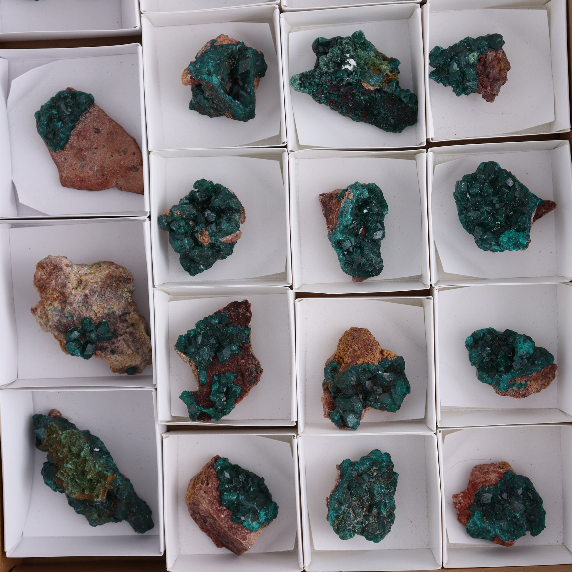 Dioptase Set of 19 - Expert Wholesale and Supplier of Wholesale Crystals & Bulk Gemstones, ["dioptase","Freeform","Freeforms"]