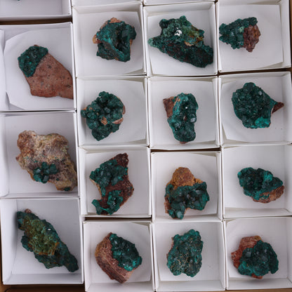Dioptase Set of 19 - Expert Wholesale and Supplier of Wholesale Crystals & Bulk Gemstones, ["dioptase","Freeform","Freeforms"]