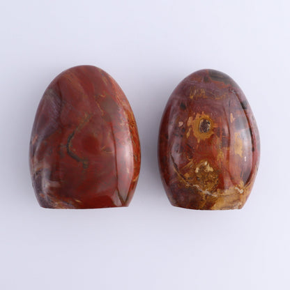 Petrified Wood Freeforms Set of 6 - Expert Wholesale and Supplier of Wholesale Crystals & Bulk Gemstones, ["Freeform","Freeforms","Madagascar","Petrified Wood"]