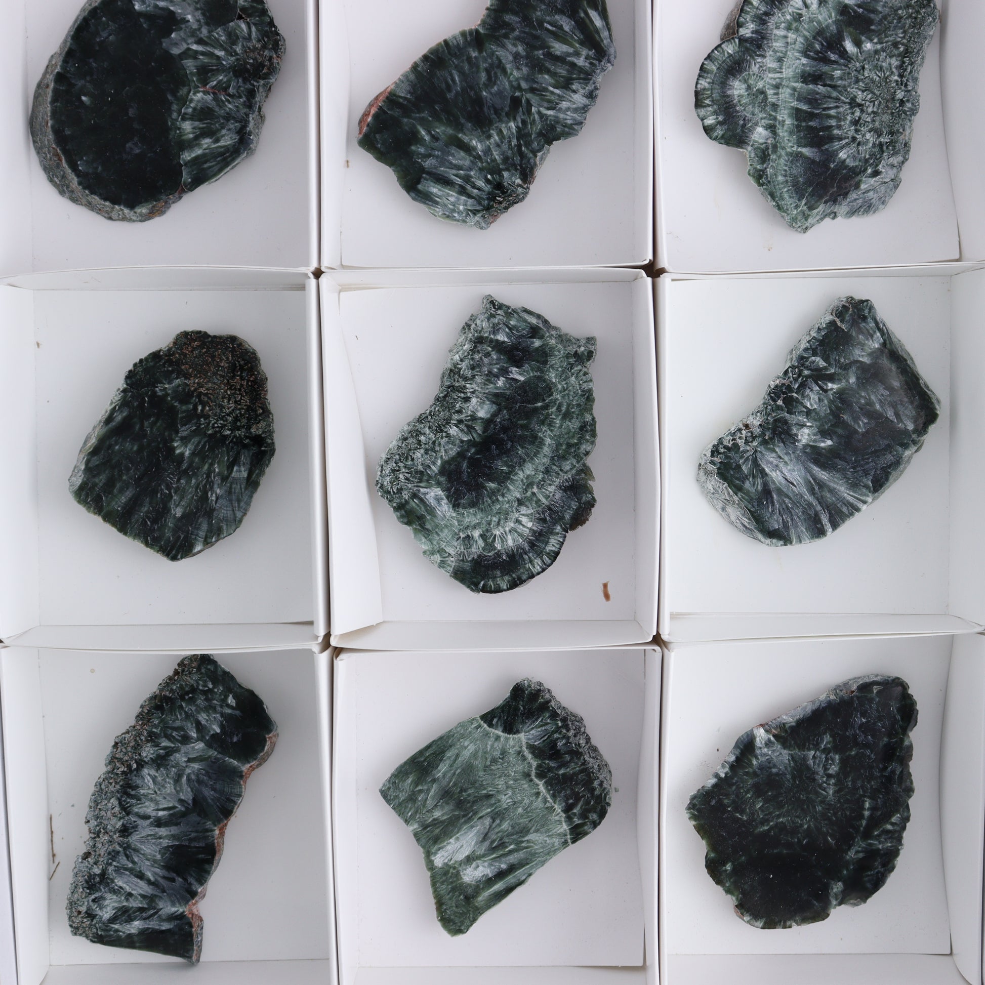 Seraphinite Slices Set of 12 - Expert Wholesale and Supplier of Wholesale Crystals & Bulk Gemstones, ["Russia","Seraphinite","Slices and Slabs"]
