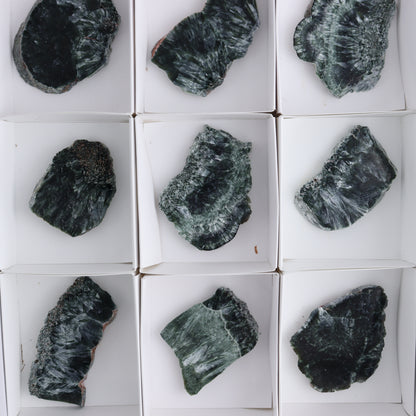 Seraphinite Slices Set of 12 - Expert Wholesale and Supplier of Wholesale Crystals & Bulk Gemstones, ["Russia","Seraphinite","Slices and Slabs"]
