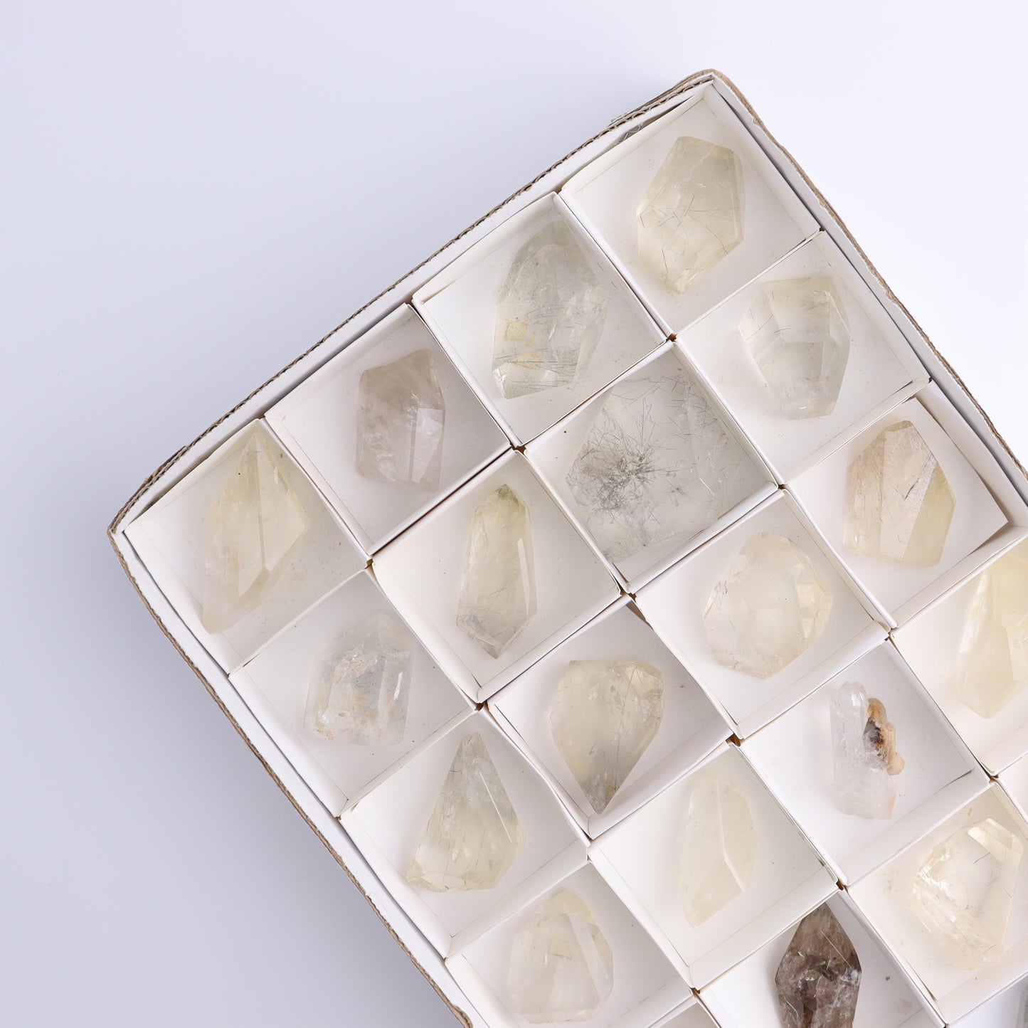 Quartz with Inclusions Feeforms Set of 24
