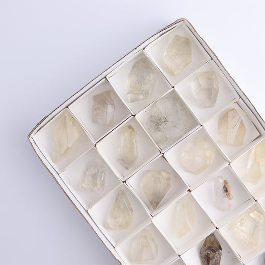 Quartz with Inclusions Feeforms Set of 24