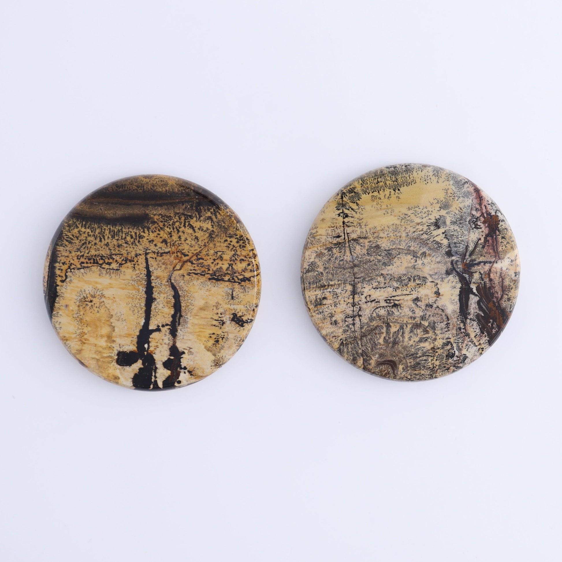 Picture Jasper Discs Set of 10 - Expert Wholesale and Supplier of Wholesale Crystals & Bulk Gemstones, ["China","Picture Jasper","Round"]