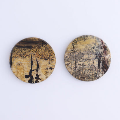 Picture Jasper Discs Set of 10 - Expert Wholesale and Supplier of Wholesale Crystals & Bulk Gemstones, ["China","Picture Jasper","Round"]