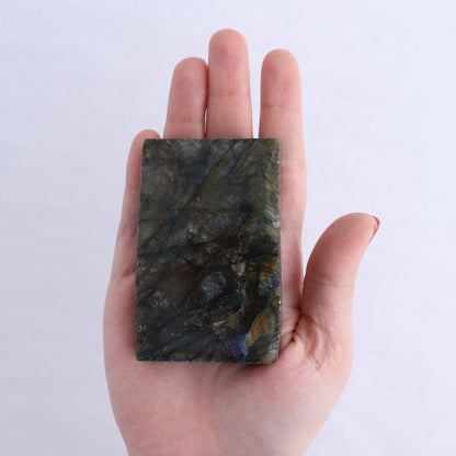 Labradorite Freeform Set of 16