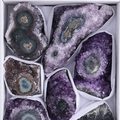 Uruguay Amethyst Clusters with "Eyes" Flat of 8 - Expert Wholesale and Supplier of Wholesale Crystals & Bulk Gemstones, []