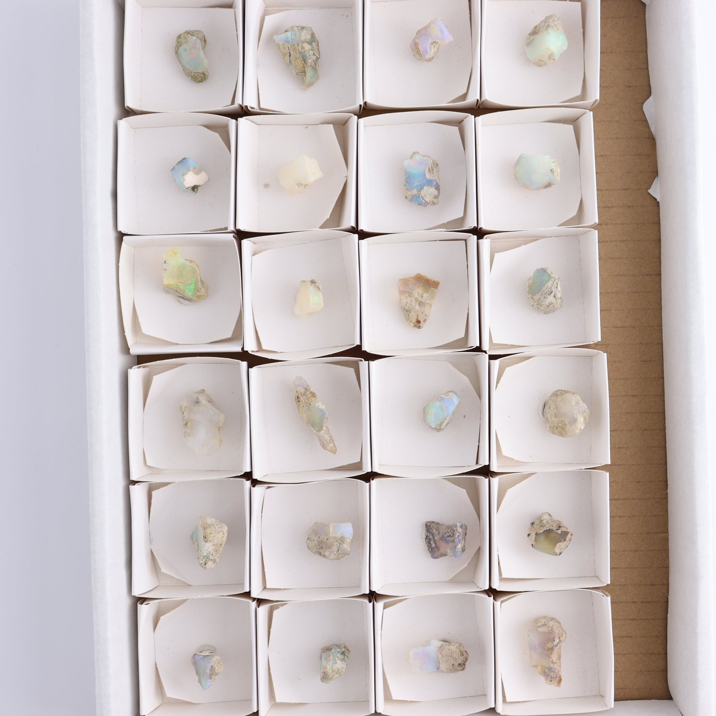 Ethiopian Opal Set of 24 - Expert Wholesale and Supplier of Wholesale Crystals & Bulk Gemstones, ["Ethiopia","ethiopian opal","Opal"]