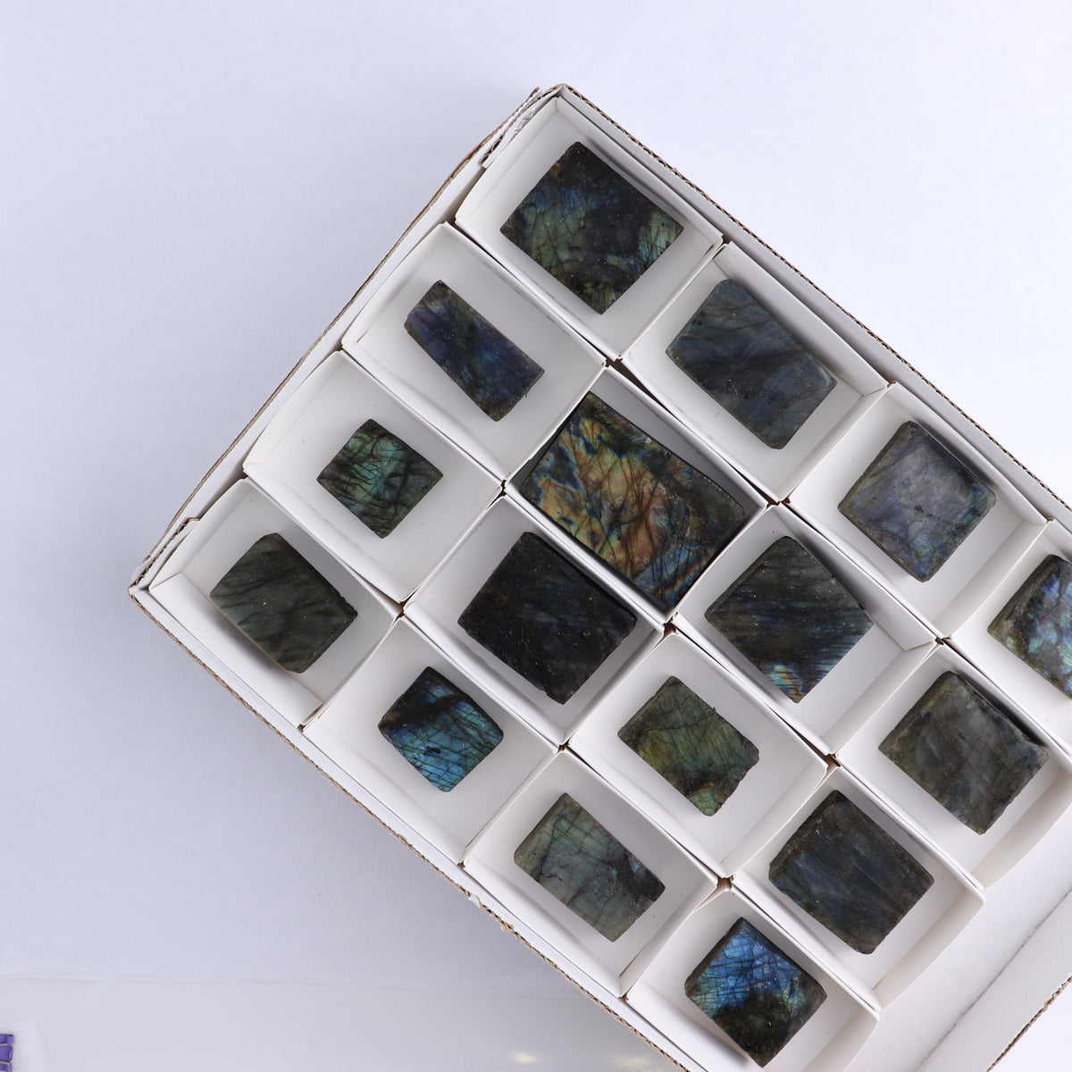 Labradorite Freeform Set of 16